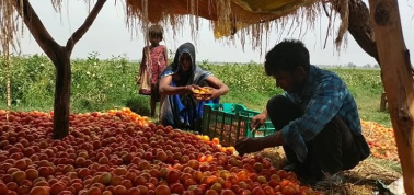 agritech sustainable economy